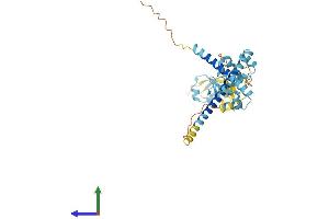 AlphaFold protein structure predicition of Mouse Recombinant Dffa Protein, UniprotID O54786 (DFFA Protein (AA 1-331) (His tag))