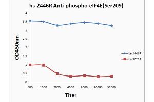 Antigen 0. (EIF4E antibody  (pSer209))