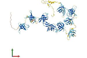 AlphaFold protein structure predicition of Mouse Recombinant Csde1 Protein, UniprotID Q91W50 (CDSE1 Protein (AA 1-798) (His tag))