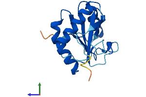 Protein Structure (PS) image for Thioredoxin-Like 4A (TXNL4A) (AA 1-142) protein (His tag) (ABIN7556754)