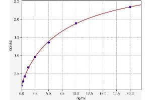 Typical standard curve (BTN2A1 ELISA Kit)
