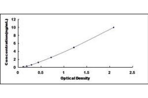 Typical standard curve (Muscarinic Acetylcholine Receptor M2 ELISA Kit)