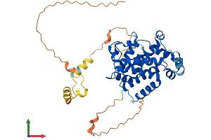 AlphaFold protein structure predicition of Human Recombinant ELMOD3 Protein, UniprotID Q96FG2