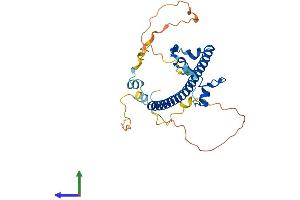 AlphaFold protein structure predicition of Mouse Recombinant Hlf Protein, UniprotID Q8BW74 (HLF Protein (AA 1-295) (His tag))