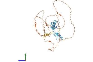 AlphaFold protein structure predicition of Human Recombinant KLF12 Protein, UniprotID Q9Y4X4 (KLF12 Protein (AA 1-402) (His tag))