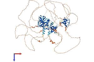 SH3 Domain Containing Ring Finger 3 (SH3RF3) (AA 1-882) protein (His tag)