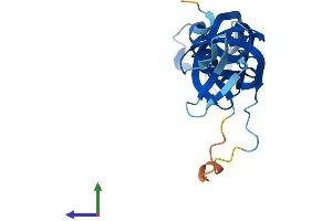 AlphaFold protein structure predicition of Mouse Recombinant Polr3h Protein, UniprotID Q9D2C6 (POLR3H Protein (AA 1-204) (His tag))