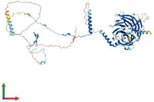 AlphaFold protein structure predicition of Mouse Recombinant Dnai1 Protein, UniprotID Q8C0M8 (DNAI1 Protein (AA 1-701) (His tag))