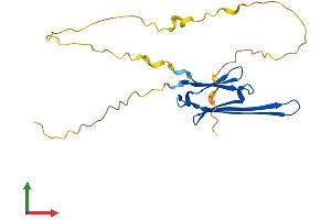 AlphaFold protein structure predicition of Mouse Recombinant Hspb8 Protein, UniprotID Q9JK92 (HSPB8 Protein (AA 1-196) (His tag))