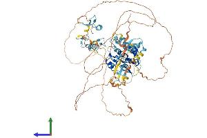 AlphaFold protein structure predicition of Human Recombinant ZNF280C Protein, UniprotID Q8ND82 (ZNF280C Protein (AA 1-737) (His tag))
