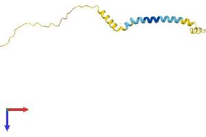AlphaFold protein structure predicition of Human Recombinant SMLR1 Protein, UniprotID H3BR10 (SMLR1 Protein (AA 1-107) (His tag))