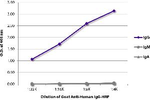 ELISA plate was coated with purified human IgG, IgM, and IgA. (Goat anti-Human IgG (Heavy Chain) Antibody (HRP))