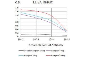Black line: Control Antigen (100 ng),Purple line: Antigen (10 ng), Blue line: Antigen (50 ng), Red line:Antigen (100 ng) (CHRNE antibody  (AA 21-239))
