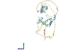 AlphaFold protein structure predicition of Human Recombinant FAM47E Protein, UniprotID Q6ZV65 (FAM47E Protein (AA 1-393) (His tag))