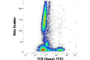 Flow cytometry surface staining pattern of human peripheral whole blood stained using anti-human TCR Cbeta1 (JOVI. (TCR, Cbeta1 antibody (FITC))