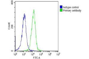 Overlay histogram showing Hela cells stained with Antibody (green line). (PFN1 antibody  (AA 108-140))