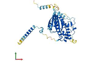 Protein Structure (PS) image for Dynein, Cytoplasmic 2, Light Intermediate Chain 1 (DYNC2LI1) (AA 1-351) protein (His tag) (ABIN7559444)