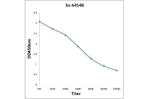 Antigen: 0. (MFGE8 antibody  (AA 201-300))