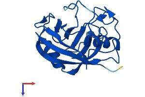 Peptidylprolyl Isomerase A (Cyclophilin A)-Like 4G (PPIAL4G) (AA 1-164) protein (His tag)