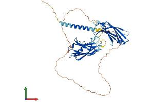 AlphaFold protein structure predicition of Human Recombinant SYT11 Protein, UniprotID Q9BT88