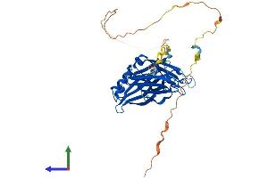AlphaFold protein structure predicition of Human Recombinant DOC2B Protein, UniprotID Q14184 (DOC2B Protein (AA 1-412) (His tag))