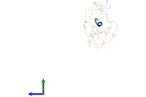 AlphaFold protein structure predicition of Human Recombinant CCDC73 Protein, UniprotID Q6ZRK6 (CCDC73 Protein (AA 1-1079) (His tag))