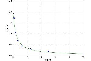 Apelin 17 (AP17) ELISA Kit
