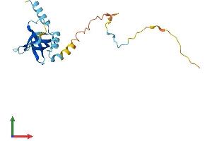 AlphaFold protein structure predicition of Mouse Recombinant Eif1ad Protein, UniprotID Q3THJ3
