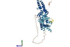 AlphaFold protein structure predicition of Human Recombinant KCNF1 Protein, UniprotID Q9H3M0 (KCNF1 Protein (AA 1-494) (His tag))