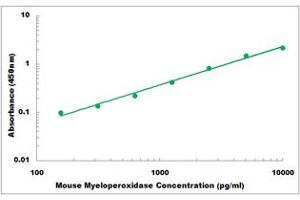 Representative Standard Curve (Myeloperoxidase ELISA Kit)