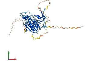 AlphaFold protein structure predicition of Mouse Recombinant Abhd8 Protein, UniprotID Q8R0P8
