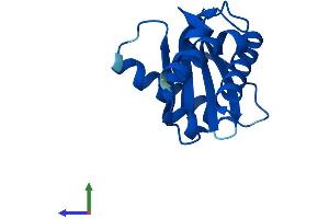Protein Structure (PS) image for Adaptor Related Protein Complex 4 sigma 1 (AP4s1) (AA 1-144) protein (His tag) (ABIN7552097)