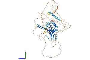 AlphaFold protein structure predicition of Mouse Recombinant Rnf180 Protein, UniprotID Q3U827