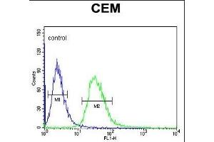 TSN7 Antibody (Center) (ABIN651068 and ABIN2840057) flow cytometric analysis of CEM cells (right histogram) comred to a negative control cell (left histogram). (Tetraspanin 7 antibody  (AA 98-124))