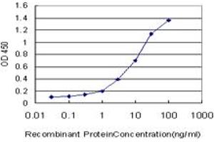 Detection limit for recombinant GST tagged FGF21 is approximately 0. (FGF21 antibody  (AA 30-209))