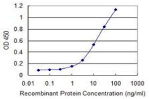 Detection limit for recombinant GST tagged RAB3C is 0. (Rab3c antibody  (AA 1-227))