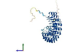 AlphaFold protein structure predicition of Mouse Recombinant Fbxl20 Protein, UniprotID Q9CZV8