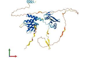 AlphaFold protein structure predicition of Human Recombinant STAP2 Protein, UniprotID Q9UGK3 (STAP2 Protein (AA 1-403) (His tag))