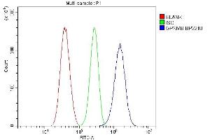 Flow Cytometry analysis of U87 cells using anti-Gpnmb antibody (ABIN7600217). (Osteoactivin antibody  (AA 164-564))