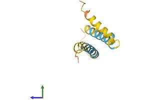 AlphaFold protein structure predicition of Human Recombinant HIGD1C Protein, UniprotID A8MV81 (HIGD1C Protein (AA 1-97) (His tag))