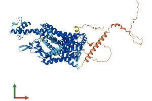 AlphaFold protein structure predicition of Mouse Recombinant Slc6a17 Protein, UniprotID Q8BJI1