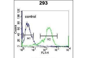 NKX1-2 Antibody (N-term) (ABIN655691 and ABIN2845148) flow cytometric analysis of 293 cells (right histogram) compared to a negative control cell (left histogram). (NKX1-2 antibody  (AA 46-74))