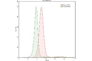 Detection of NECTIN2 in K562 human chronic myelogenous leukemia cell line using Polyclonal Antibody to Nectin 2 (NECTIN2) (PVRL2 antibody  (AA 76-353))