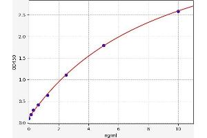Typical standard curve (BACE1 ELISA Kit)