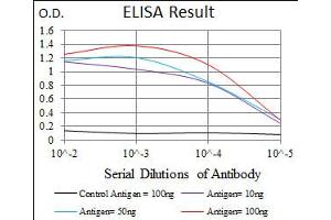 Image no. 1 for anti-delta-Like 4 (DLL4) antibody (ABIN1491404) (DLL4 antibody)