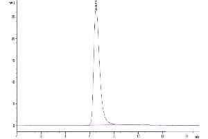 The purity of SARS-COV-2 Spike S1 (D614G) is greater than 95 % as determined by SEC-HPLC. (SARS-CoV-2 Spike S1 Protein (D614G) (His-Avi Tag))