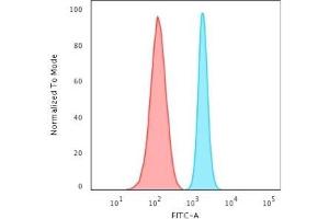 Flow Cytometric Analysis of HeLa cells using Spectrin beta III Rabbit Recombinant Monoclonal Antibody (SPTBN2/2887R) followed by Goat anti-rabbit IgG-CF488 (Blue); Isotype Control (Red). (Recombinant Spectrin, Beta, Non-erythrocytic 2 (SPTBN2) (AA 356-475) antibody)