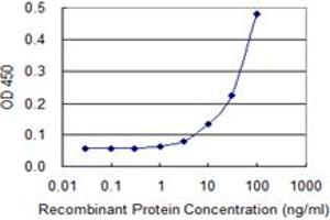 Detection limit for recombinant GST tagged ST3GAL4 is 3 ng/ml as a capture antibody. (ST3GAL4 antibody  (AA 31-130))