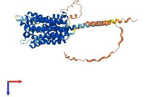 AlphaFold protein structure predicition of Mouse Recombinant Slc16a10 Protein, UniprotID Q3U9N9 (SLC16A10 Protein (AA 1-512) (His tag))