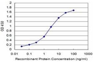 Detection limit for recombinant GST tagged TAOK3 is approximately 0. (TAO Kinase 3 antibody  (AA 809-898))